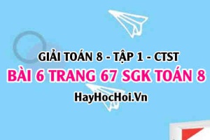 Giải bài 6 trang 67 Toán 8 Tập 1 SGK Chân trời sáng tạo